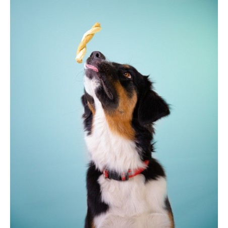 Recompense pentru caini Wonder Snaxx Twists alune si banane