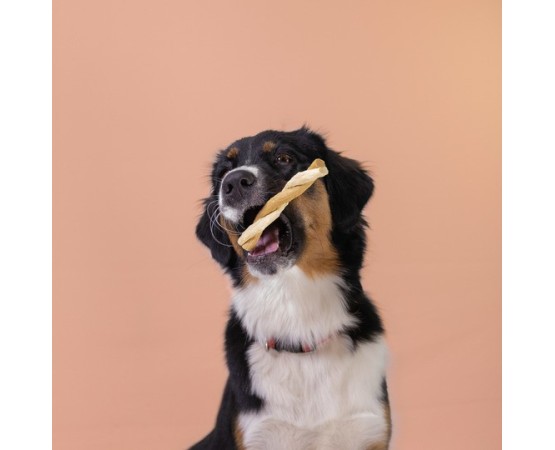 Recompense pentru caini Wonder Snaxx Twists alune si banane