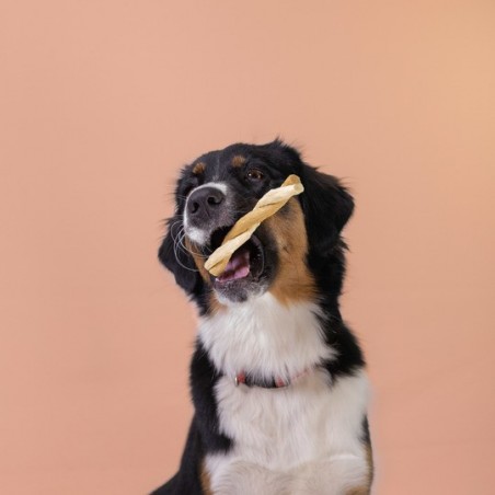 Recompense pentru caini Wonder Snaxx Twists alune si banane