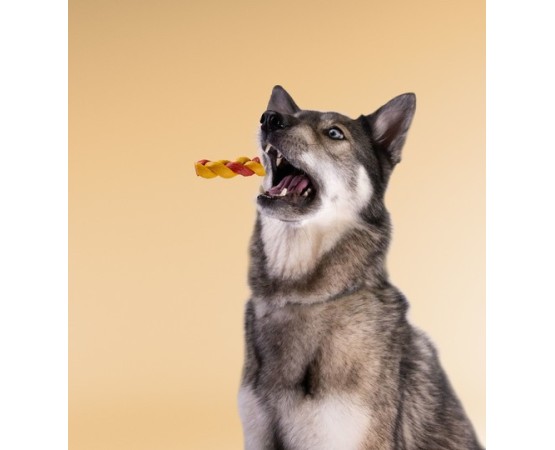 Recompense pentru caini Wonder Snaxx Twists alune si banane