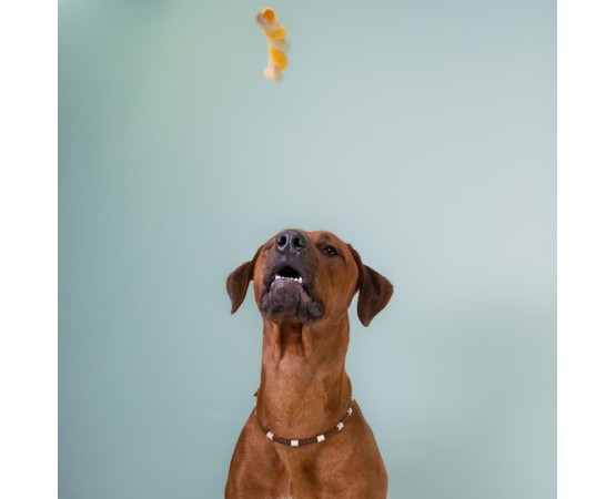 Recompense pentru caini Wonder Snaxx Twists cartof dulce si curcan