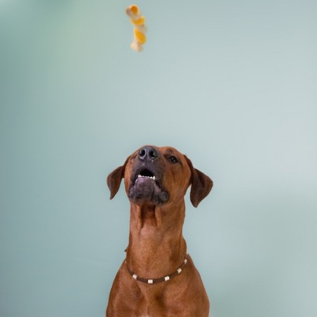 Recompense pentru caini Wonder Snaxx Twists cartof dulce si curcan