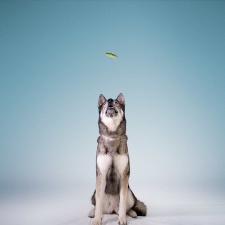 Recompense pentru caini Wonder Snaxx Twists cartof dulce si curcan