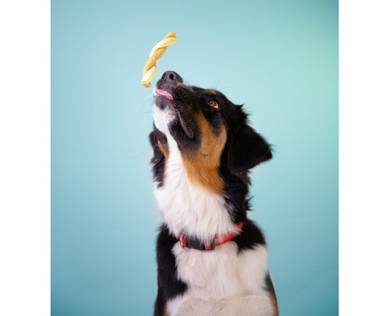 Recompense pentru caini Wonder Snaxx Mini Braid alune si mere