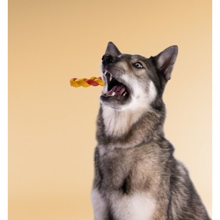 Recompense pentru caini Wonder Snaxx Mini Braid alune si mere