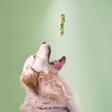 Recompense pentru caini Wonder Snaxx Mini Braid alune si mere