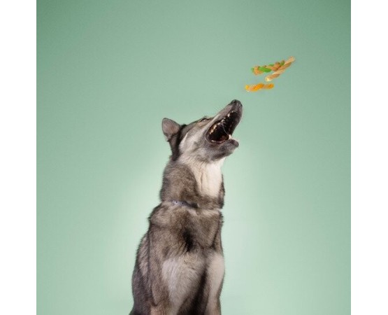 Recompense pentru caini Wonder Snaxx Mini Braid alune si mere