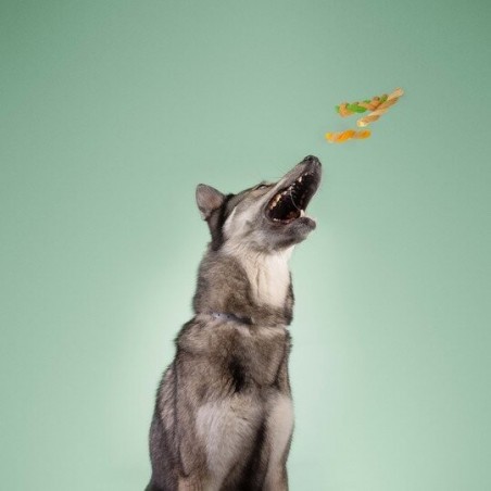 Recompense pentru caini Wonder Snaxx Mini Braid alune si mere