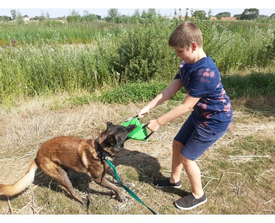 Perna de muscatura Triangle Euro Joe