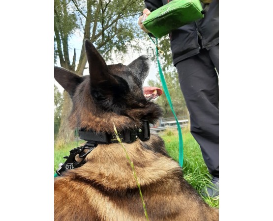 Perna de muscatura Triangle Euro Joe