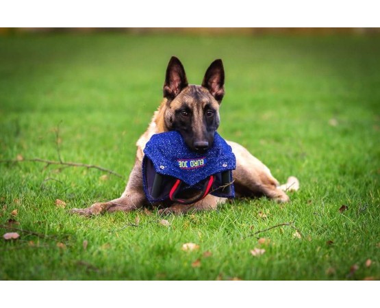 Perna de muscatura profesionala pentru dresaj canin Euro Joe