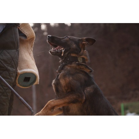 Zgarda Tactica Cobra Euro Joe L