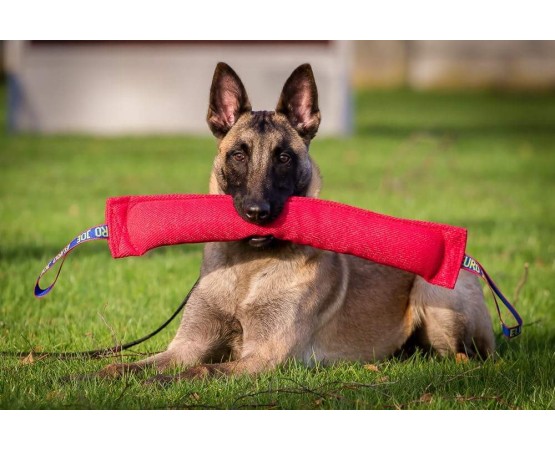 Tug pentru dresaj canin din material francez Euro Joe