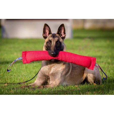 Tug pentru dresaj canin din material francez Euro Joe