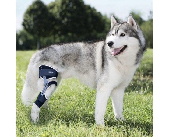 Dispozitiv profesional Balto reglabil pentru ligamente incucisate si alte patologii patelare