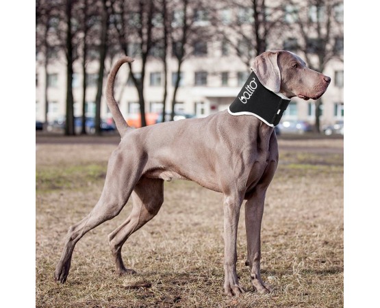 Dispozitiv profesional anti-lins  Balto Neck Black Eco pentru caini si pisici