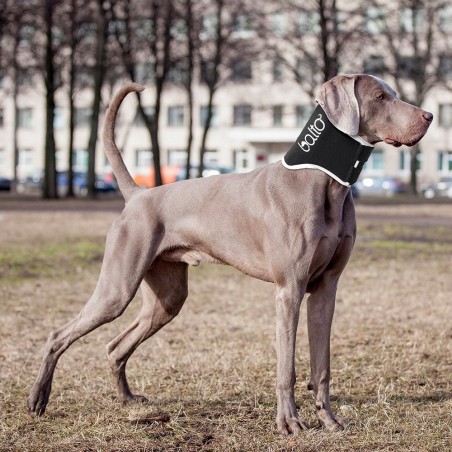 Dispozitiv profesional anti-lins  Balto Neck Black Eco pentru caini si pisici