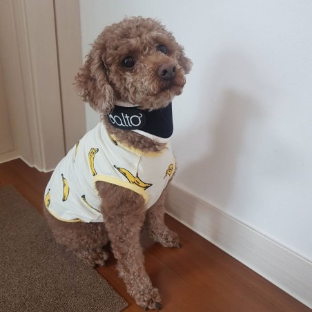 Dispozitiv profesional anti-lins  Balto Neck Black Eco pentru caini si pisici