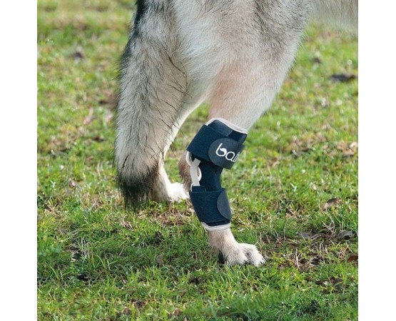 Dispozitiv profesional stabilizator cot pentru caini Balto Hock