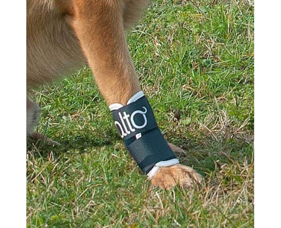 Dispozitiv profesional articular compresiv pentru caini Balto Joint