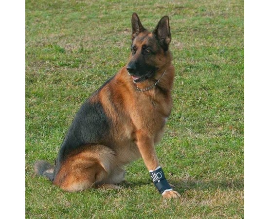 Dispozitiv profesional articular compresiv pentru caini Balto Joint