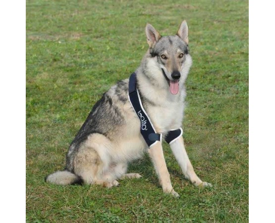 Dispozitiv profesional dublu cot caini Balto Double Elbow Soft Plus