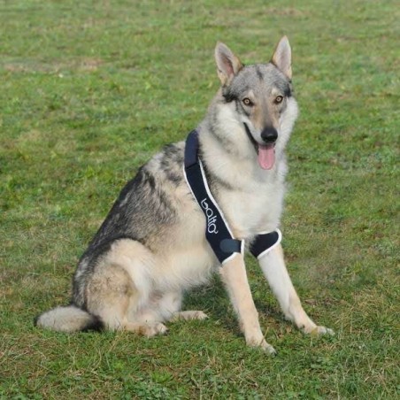 Dispozitiv profesional dublu cot caini Balto Double Elbow Soft Plus