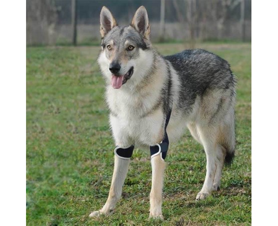 Dispozitiv profesional dublu cot caini Balto Double Elbow Soft Plus