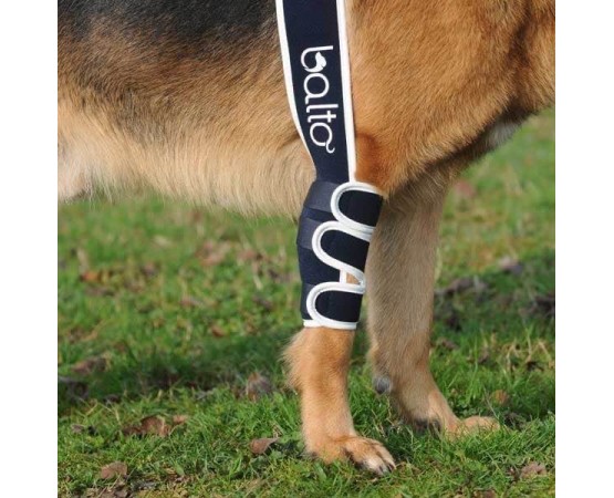 Dispozitiv profesional pentru displazie de cot caini Balto Soft