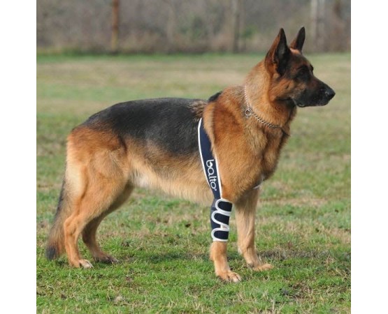 Dispozitiv profesional pentru displazie de cot caini Balto Soft