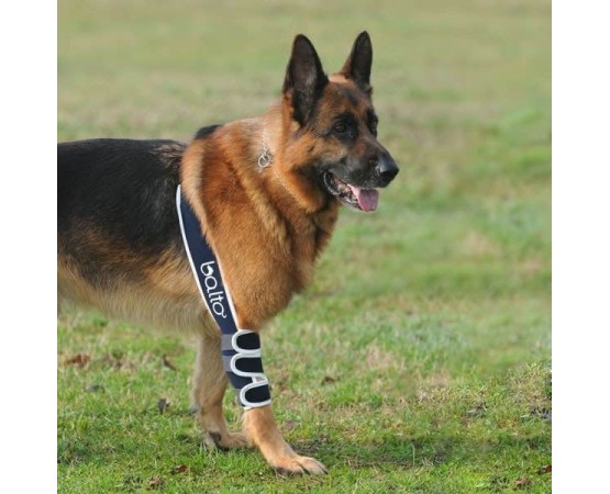 Dispozitiv profesional pentru displazie de cot caini Balto Elbow Soft