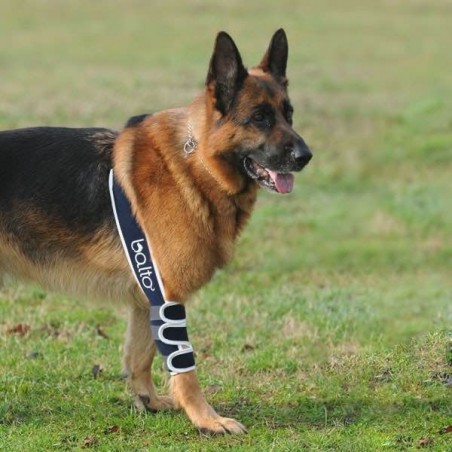 Dispozitiv profesional pentru displazie de cot caini Balto Elbow Soft