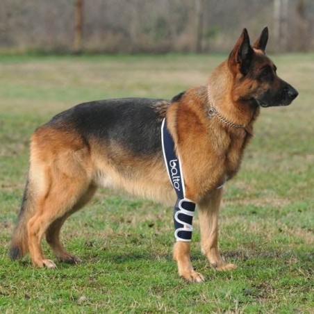 Dispozitiv profesional pentru displazie de cot caini Balto Elbow Soft