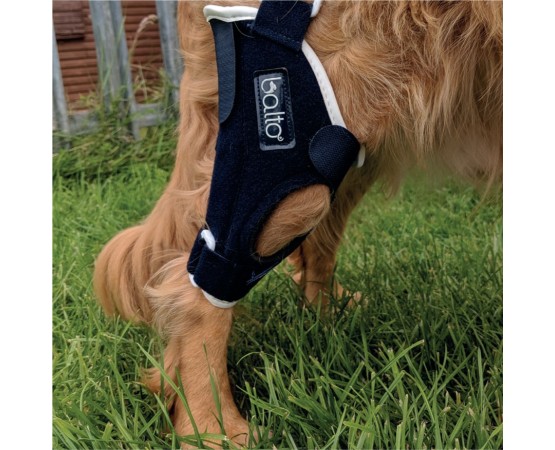 Dispozitiv profesional pentru stabilitate cot spate caini Balto Jump