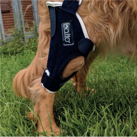 Dispozitiv profesional pentru stabilitate cot spate caini Balto Jump