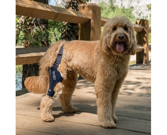 Dispozitiv profesional pentru stabilitate cot spate caini Balto Jump