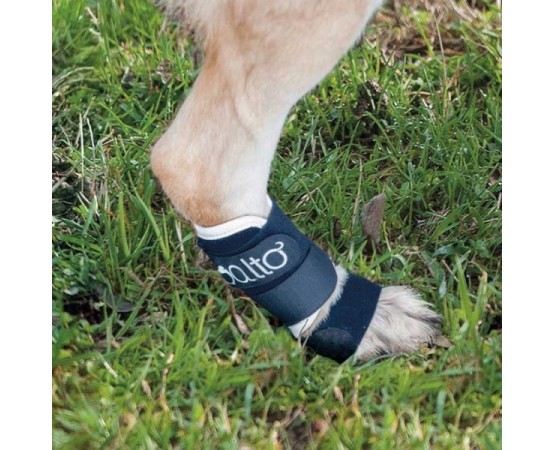 Dispozitiv profesional stabilitate articulara caini Balto Splint