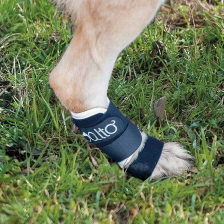 Dispozitiv profesional stabilitate articulara caini Balto Splint