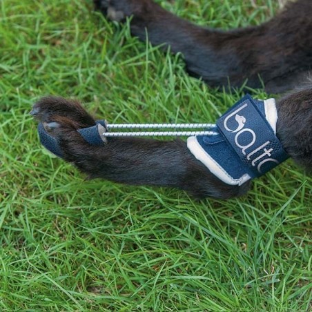 Dispozitiv profesional pentru falange hiperflexionate Balto Pull