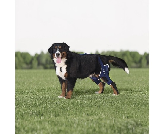 Dispozitiv profesional dublu pentru sustinere coate spate caini Balto Jump Plus