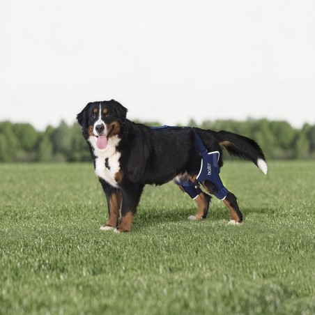 Dispozitiv profesional dublu pentru sustinere coate spate caini Balto Jump Plus