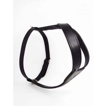 Ham din piele naturala pentru caini