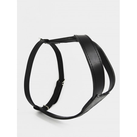 Ham din piele naturala pentru caini