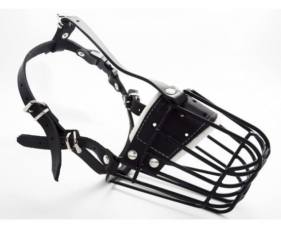 Botnita  Ciobanesc German femela / Malinois