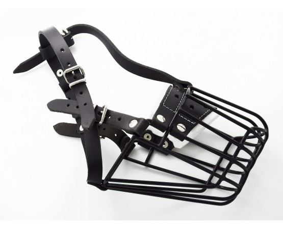 Botnita  Ciobanesc German femela / Malinois