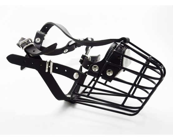 Botnita  Ciobanesc German femela / Malinois