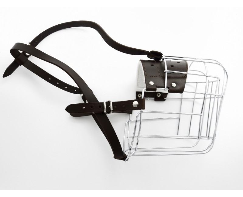 Botnita  Rottweiler mascul talie mare