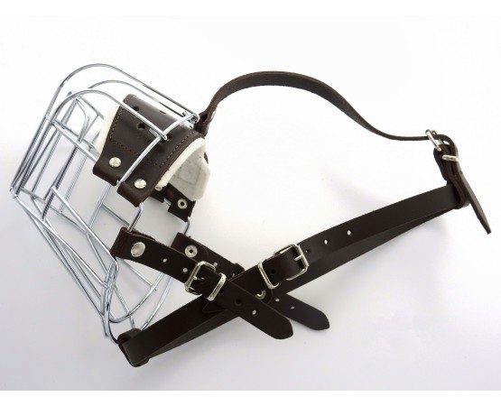 Botnita  Rottweiler mascul talie mare