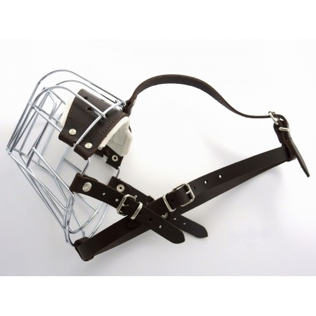 Botnita  Rottweiler mascul talie mare