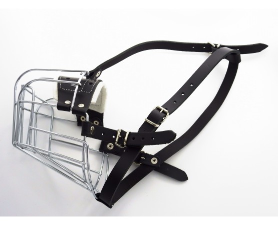 Botnita  Rottweiler mascul